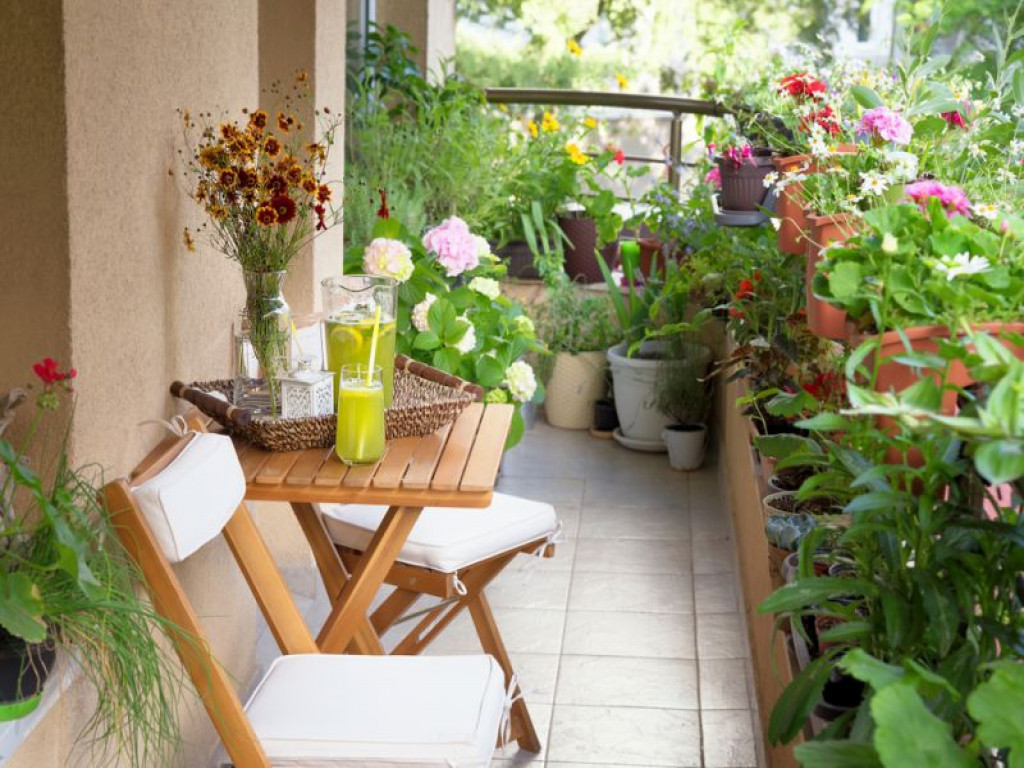 مراقبت و نگهداری گیاهان فضای باز